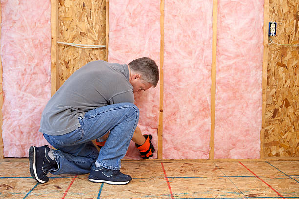 Best Insulation Maintenance and Repair in Bryant, WA